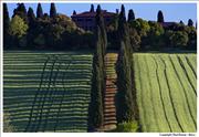 Tuscany - Val-D Orcia 4